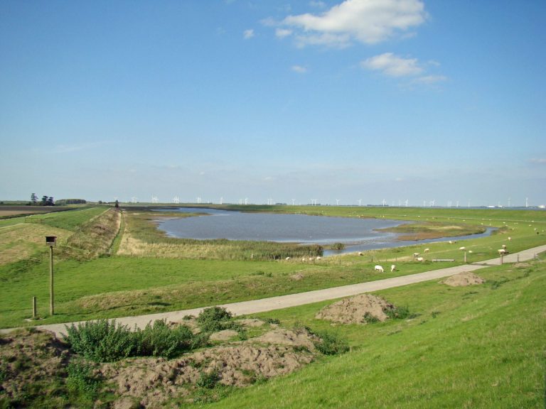 Wandeling rondom Polder Breebaart — natuur in Delfzijl