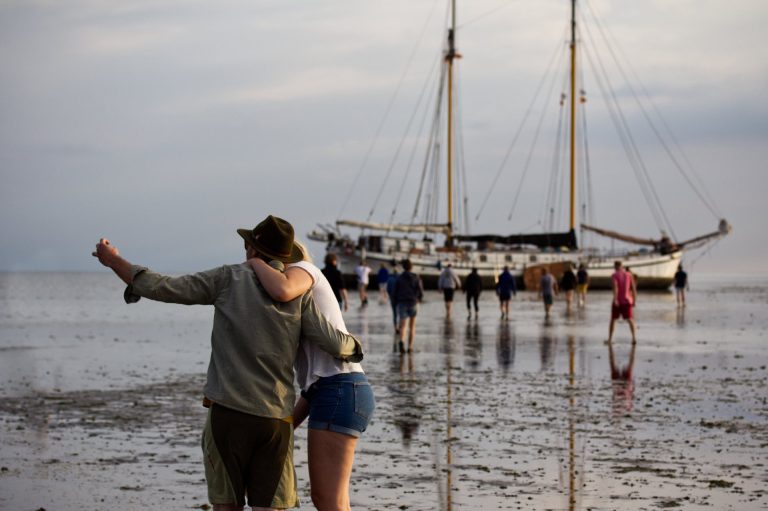 Droogvallen en wadlopen — natuur in Harlingen