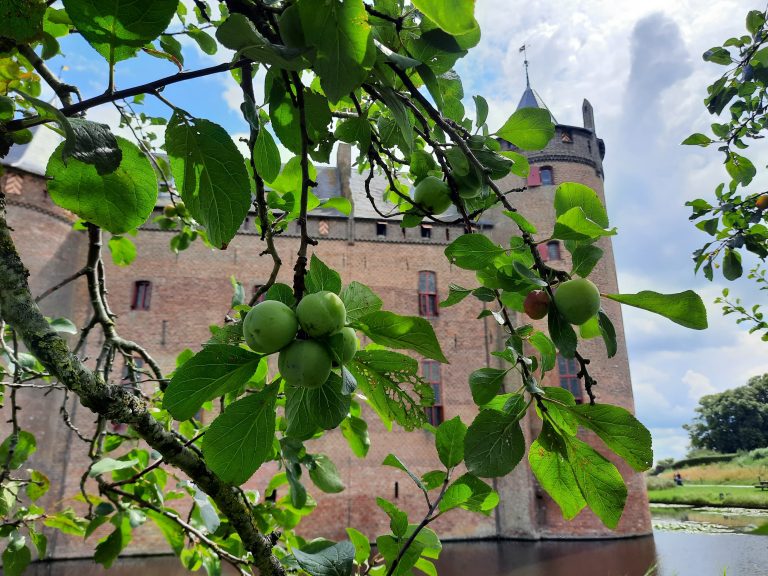 Presentatie | Tropische planten — natuur in Huizen