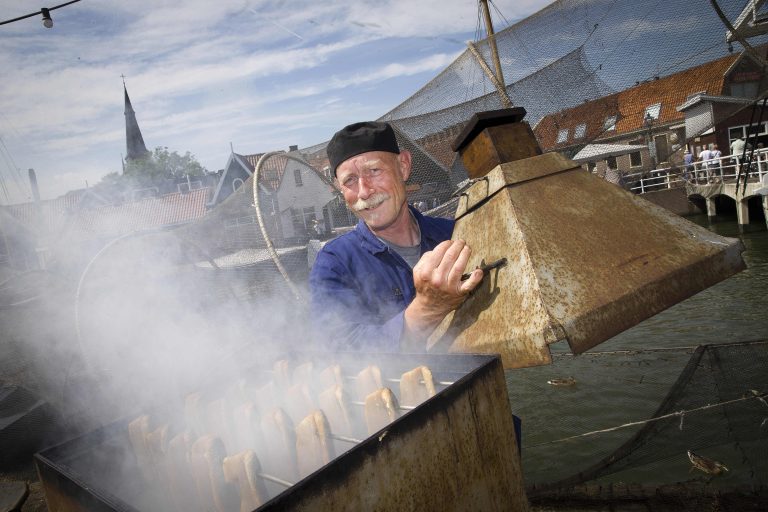 Monnickendammer Visdagen — festival in Monnickendam
