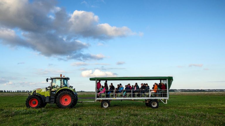 Kartocht Slikken van Flakkee — natuur in Ouddorp
