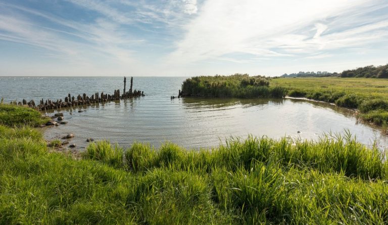 Een tijdreis op het oudemirdumerklif — natuur in Oudemirdum