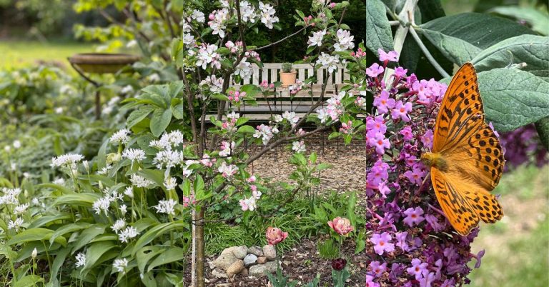 Open tuin workshops bij Heerlijk Hemelum — festival in Oudemirdum
