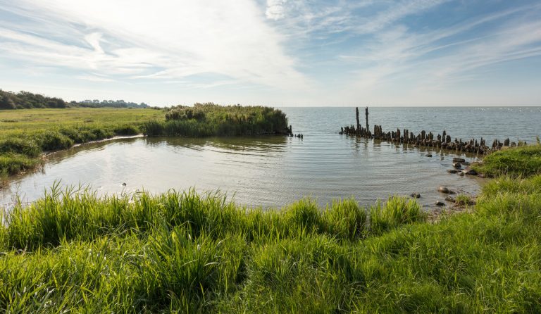 Excursie: een tijdreis op het Oudemirdumerklif — natuur in Oudemirdum