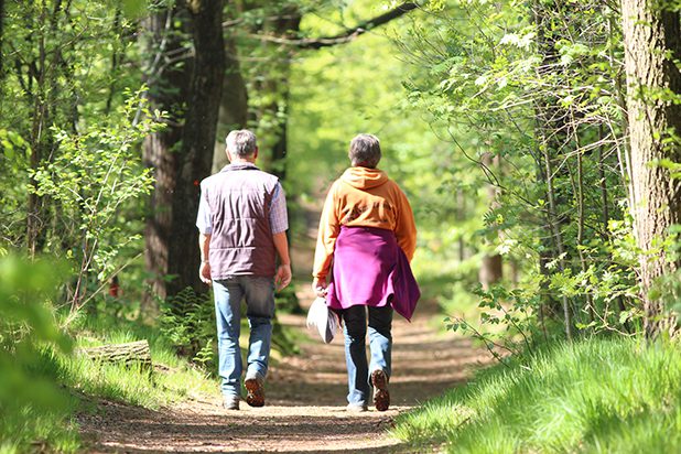Ontdek het eeuwenoude Rysterbosk met een gids — familie-kids in Oudemirdum